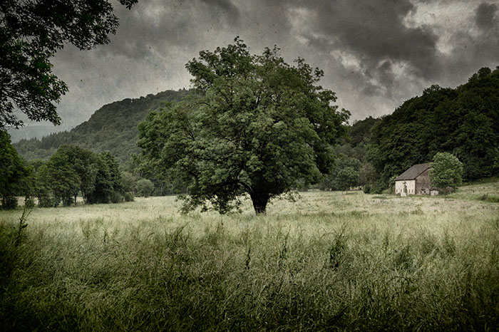 Silence #4 / Saint-Martin-Valmeroux  / 2024