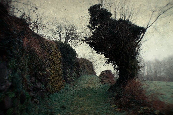 Silence #10 - Salers / 2024