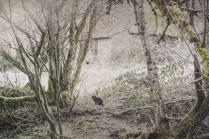 Silence #7 / Moulin de Cavarnac  / 2025